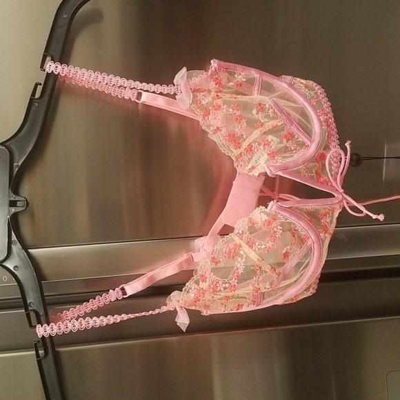 💕FOR LOVE AND LEMONS💕 Love Bouquet Embroidery Bra ~ Pink SDD NWT - Picture 9 of 16